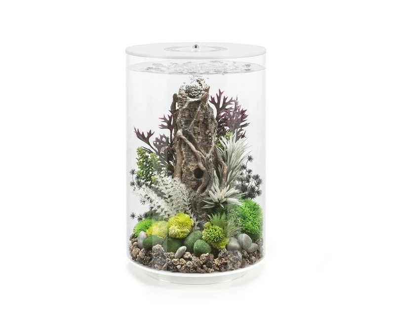 biOrb TUBE 30 Acrylic Aquarium, White, MCR Multi-Colour Remote LED Lighting, Fish Tank with 360-Degree View & 5-Step Filtration, Easy Setup, Includes Remote, Air Pump, Filter Cartridge, Ceramic Media