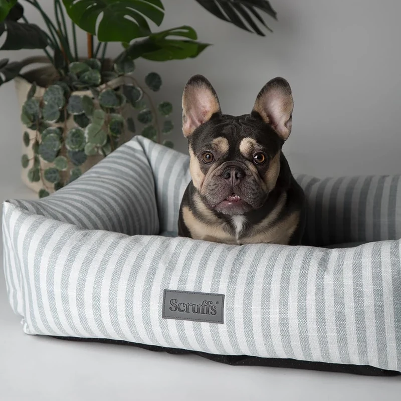 Scruffs Coastal Dog/Pet Box Bed (M)