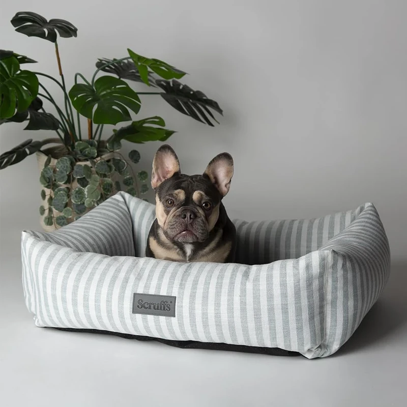 Scruffs Coastal Dog/Pet Box Bed (L)