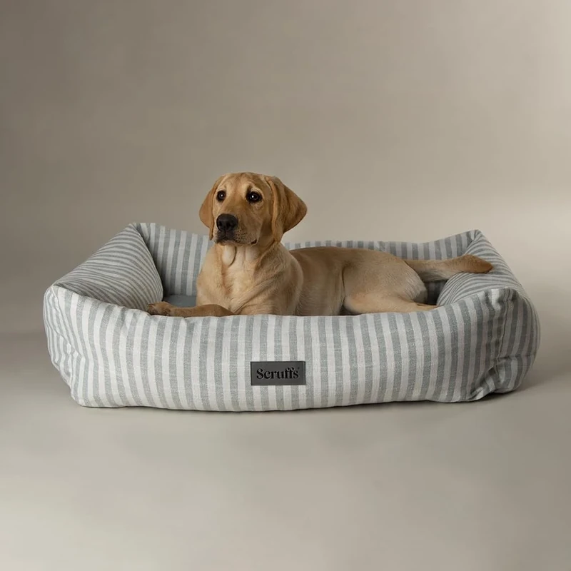 Scruffs Coastal Dog/Pet Box Bed (XL)