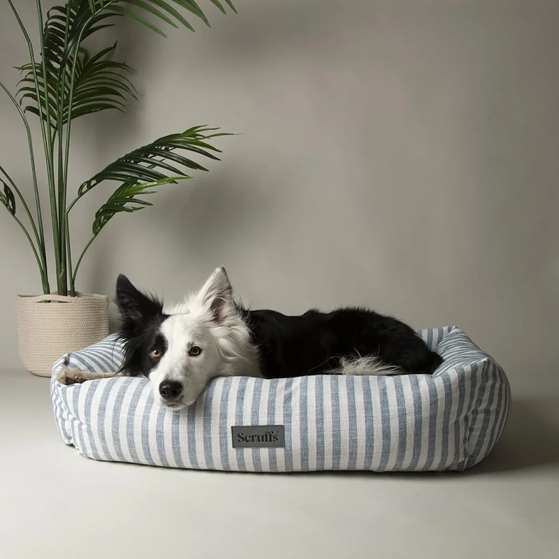 Scruffs Coastal Dog/Pet Box Bed (XL)