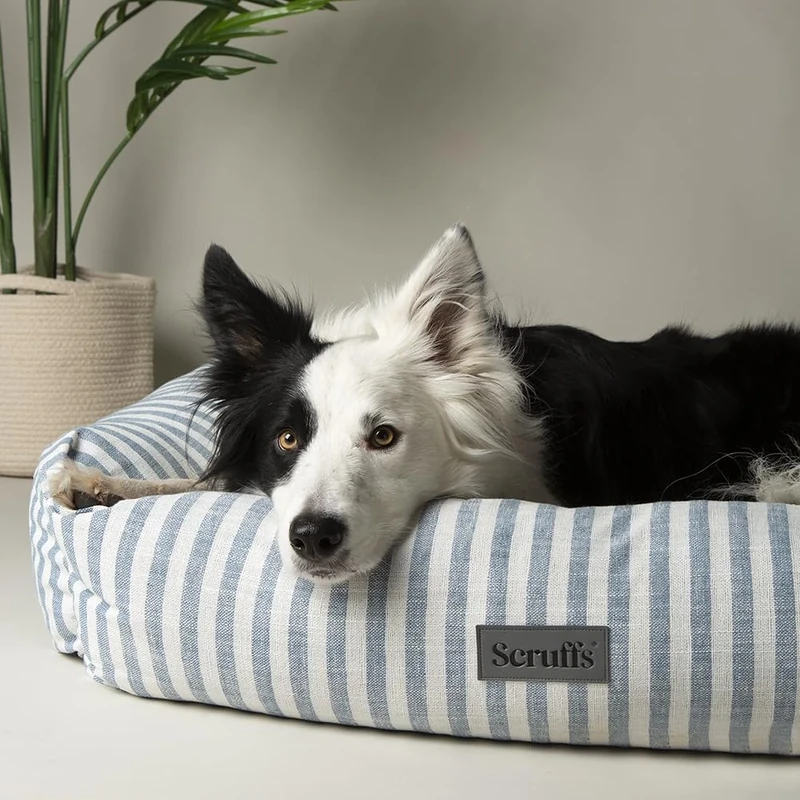 Scruffs Coastal Dog/Pet Box Bed (L)