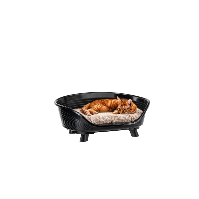 Ferplast Dog Bed & Cat Bed with Cotton Cushion, Raised Dog Bed, Plastic Dog Bed Small, Dog Bed Washable, Dog Basket, Cat Basket, Breathable & Antislip, THRONE 61,5 x 45 x h 26 cm, Black