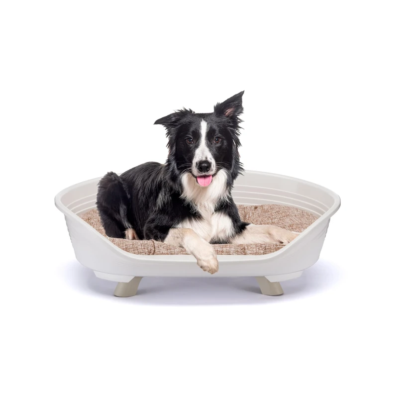 Ferplast Dog & Cat Bed With Cotton Cushion, Raised Plastic Bed Medium, Washable Basket, Breathable & Antislip, THRONE 82 x 59.5 x h 29.5 cm, White