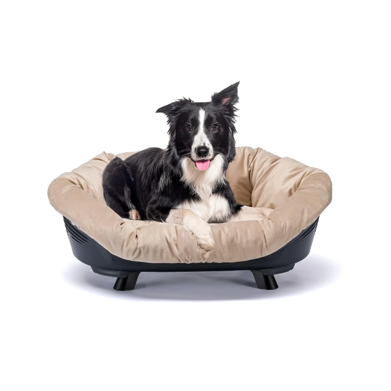 Ferplast Dog and Cat Bed, Washable Raised Bed for Medium Dogs, Breathable and Non-Slip, 85 x 62 x H 33 cm, Black