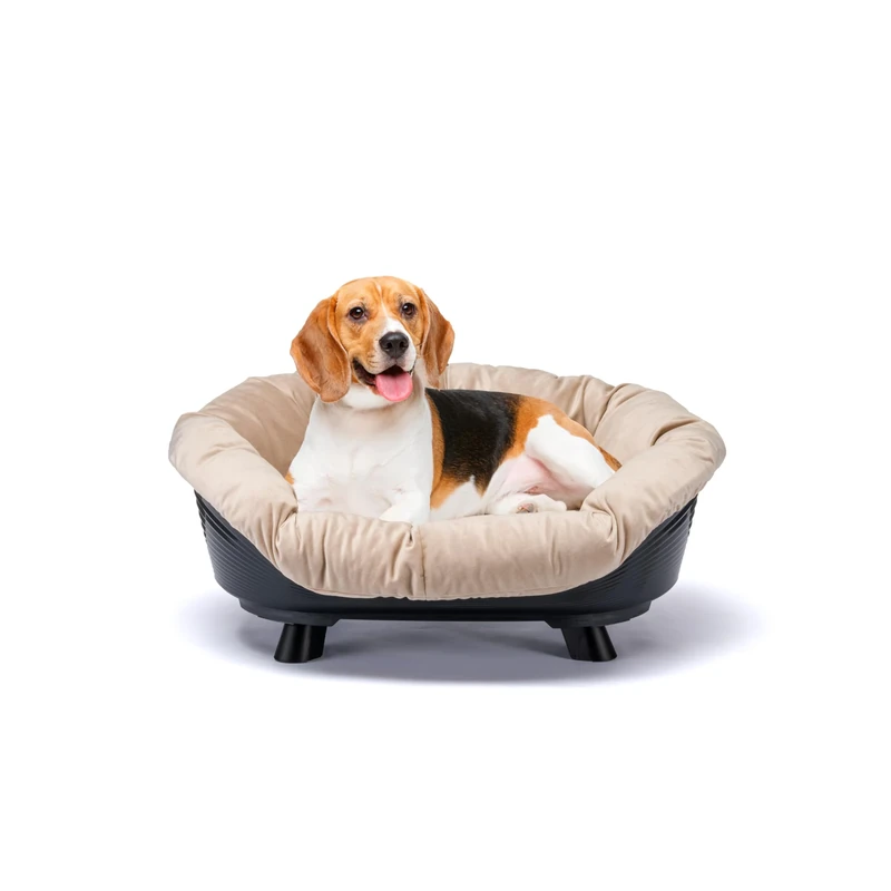 Ferplast Cat & Dog Bed with Cushion, Washable, Raised, Plastic, Breathable & Antislip, SOFA' THRONE 73 x 55 x h 32 cm, Black
