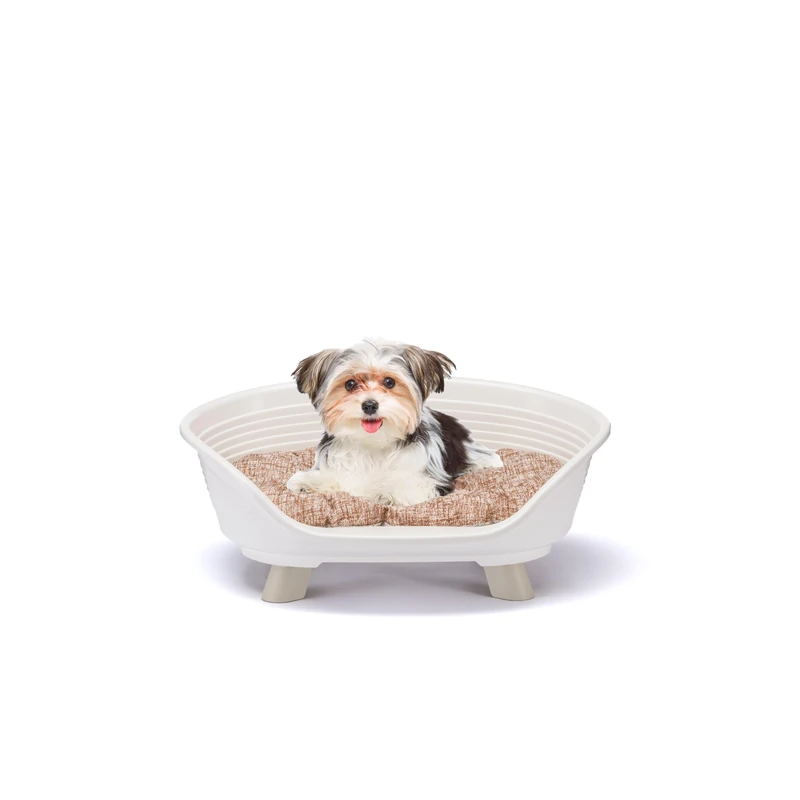 Ferplast Plastic Raised Bed for Dogs and Cats with Cotton Cushion, Washable Plastic Breathable Non-Slip Bed, Throne Design 61.5 x 45 x H 26 cm, White