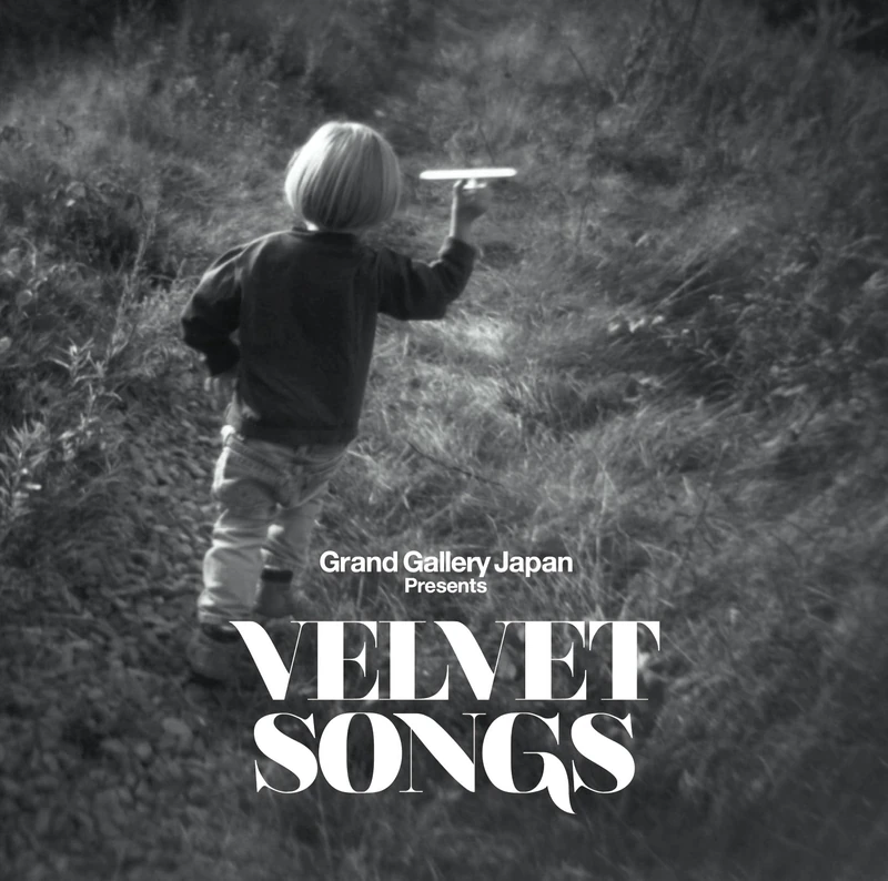 Velvet Songs (Various Artists) [Vinyl LP] [VINYL] - Image 1