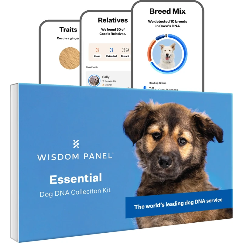Wisdom Panel Essential - Dog DNA Test for Ancestors, Breeds, Characteristics and Health Tests