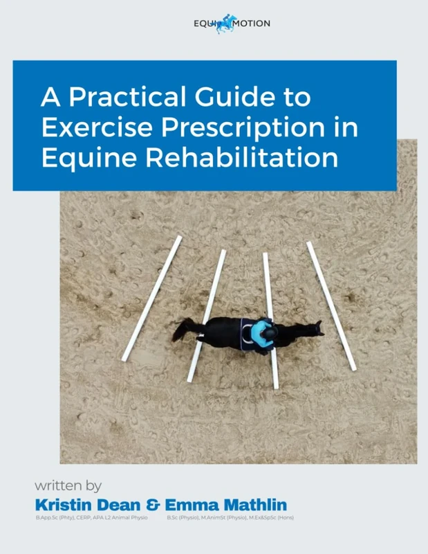 A Practical Guide to Exercise Prescription in Equine Rehabilitation