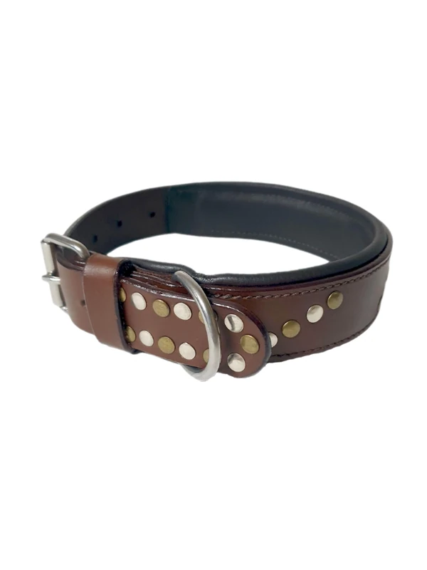 Dog Collar L 14-19 Inches