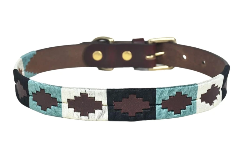 Dog Collar XS 9-11 Inches