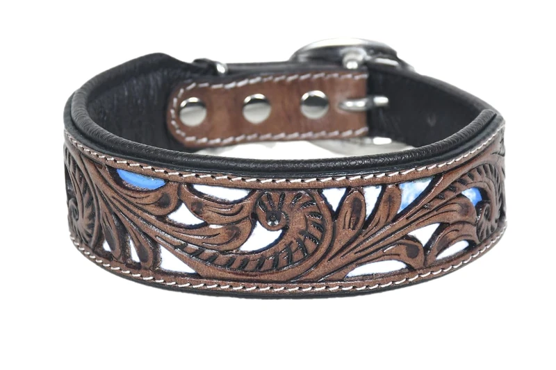 Dog Collar M 13-17 Inches
