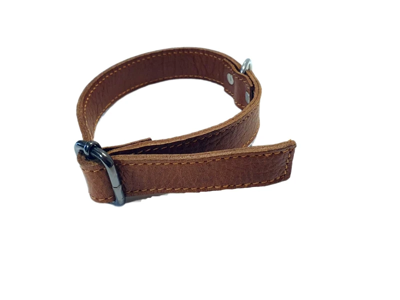 Dog Collar XL 17-23 Inches