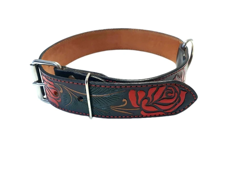 Dog Collar M 13-17 Inches