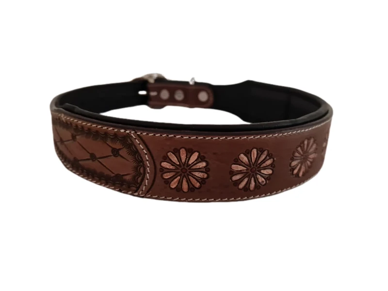 Dog Collar M 13-17 Inches