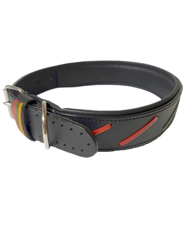 Dog Collar L 14-19 Inches