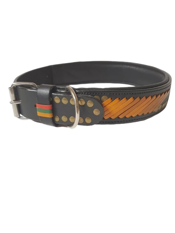 Dog Collar L 14-19 Inches
