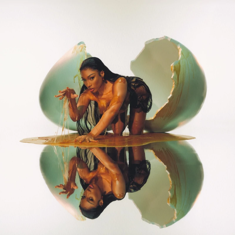 MEGAN [VINYL] - Image 1