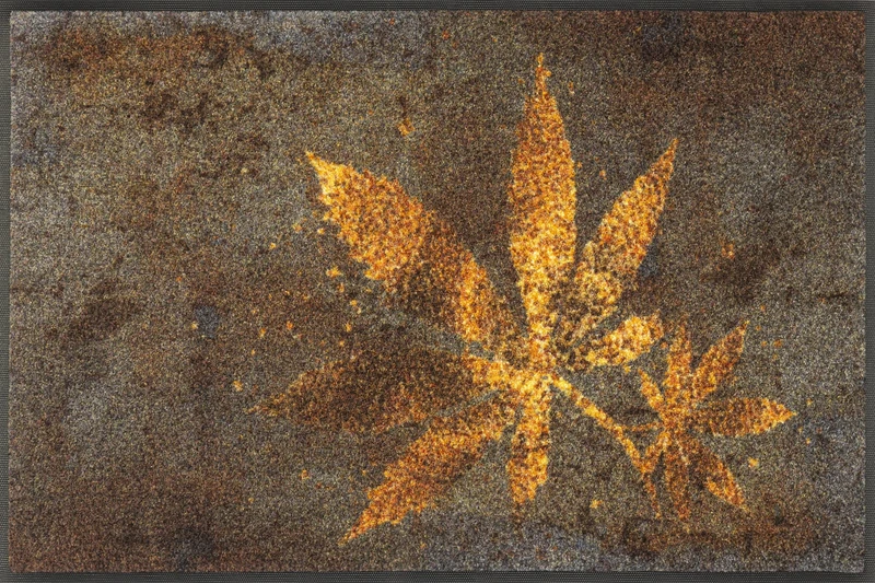 Wash+Dry Herb Blend Door Mat, 50 x 75 cm, Washable for Indoor and Outdoor Use, Colourful