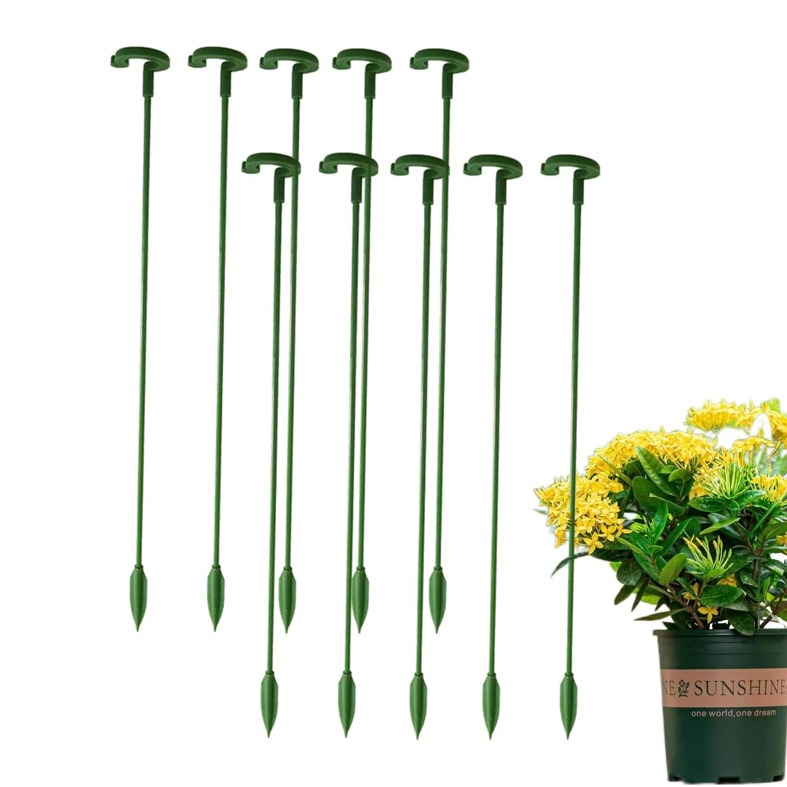 10 Plant Sticks Support with Plant Clips - Garden Plant Support Sticks | Plant Stakes for Indoor Plants | Plant Supports Loop Stake | Garden Connect for Potted Vegetables, Beans,