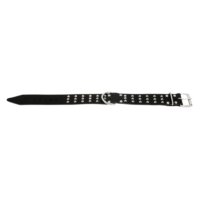 JACK AND VANILLA, Bull Dog Collar with Decorative Rivets, Black, Size 50 mm x 60 cm