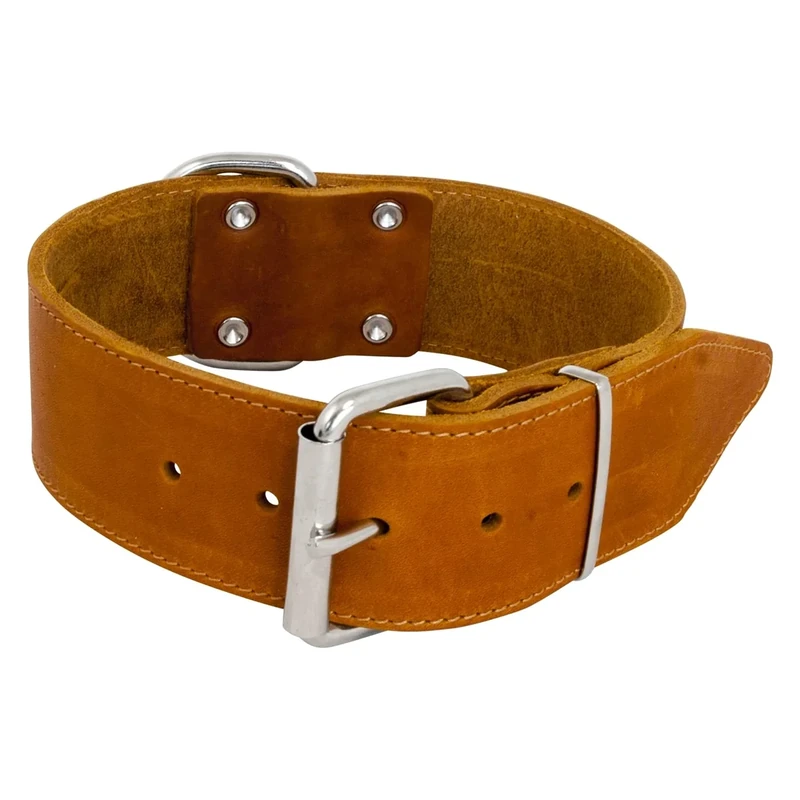 JACK AND VANILLA, Large Dog Collar, Fat Leather, Cognac, Size 50 mm x 65 cm