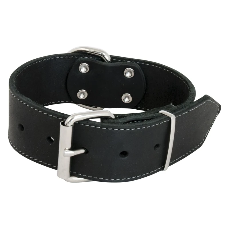 Jack and Vanilla - Large Dog Collar Fat Leather - For Medium and Large Dogs - Strong, Durable, Soft Feel - Modern Look - Color Black, Size 50 mm x 70 cm