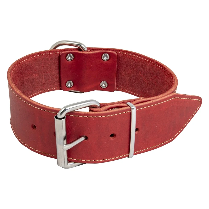 Jack and Vanilla - Large Dog Collar Fat Leather - For Medium and Large Dogs - Strong, Durable, Soft Feel - Modern Look - Color Red, Size 50 mm x 75 cm