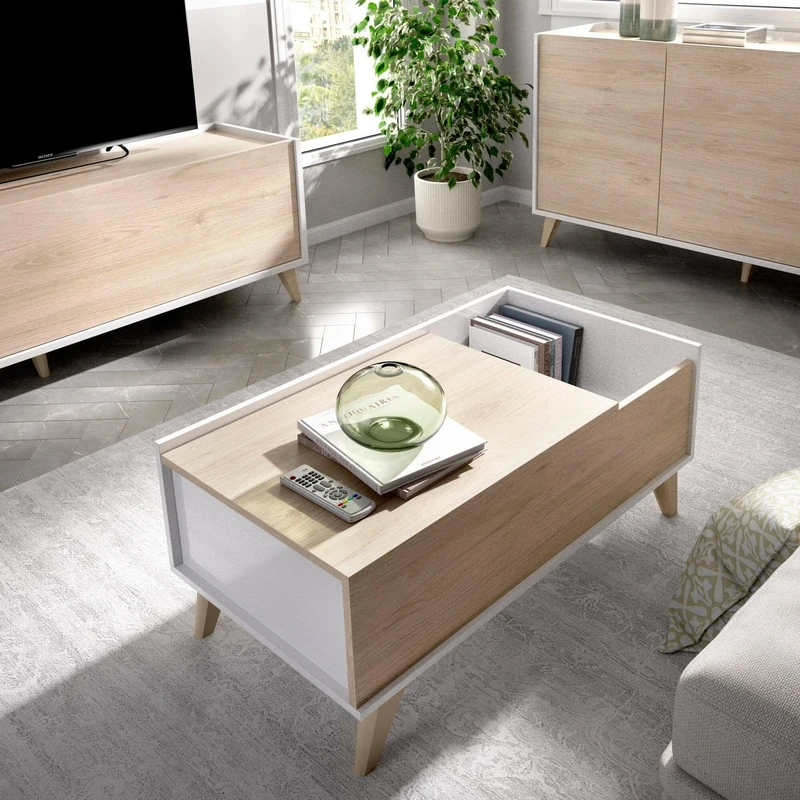 Dmora Cuna Coffee Table, Living Room Magazine Holder with Storage Compartment, Low Lift Coffee Table, 99 x 60 x 41 cm, Oak and White