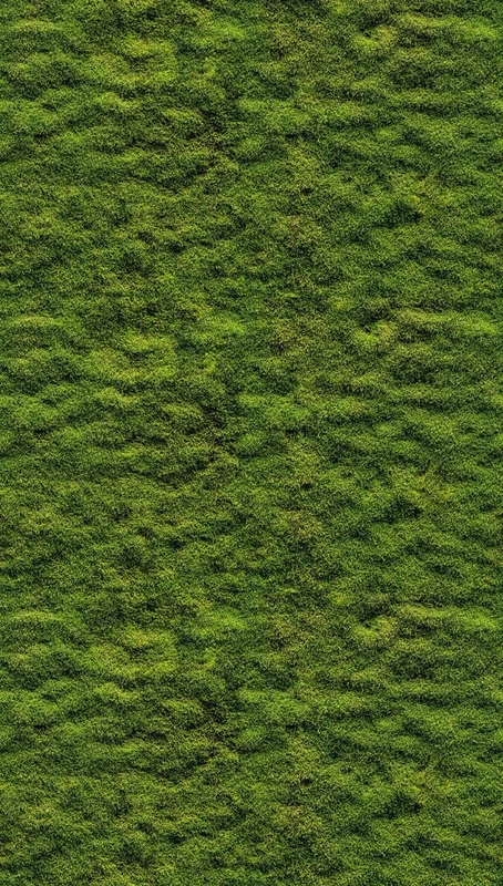 Livingwalls Photo Wallpaper Nature in Green - High-Quality Non-Woven Wallpaper 398391 with Motif on 3.71 m x 2.80 m - Made in Germany
