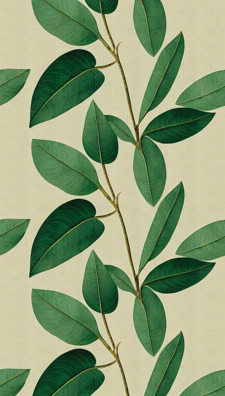 Livingwalls Photo Wallpaper Flowers in Green, Brown - High-Quality Non-Woven Wallpaper 398661 with Motif on 3.71 m x 2.80 m - Made in Germany
