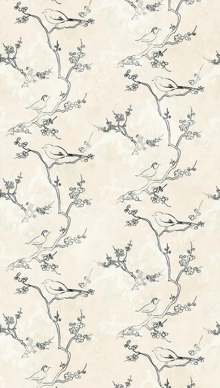 Livingwalls Photo Wallpaper Animal in Cream, Black - High-Quality Non-Woven Wallpaper 398841 with Motif on 3.71 m x 2.80 m - Made in Germany