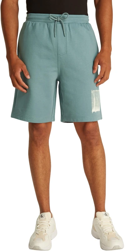 Calvin Klein Men’s Brush Stroke Graphic Cotton Sweat Shorts, Turquoise (Trooper), L