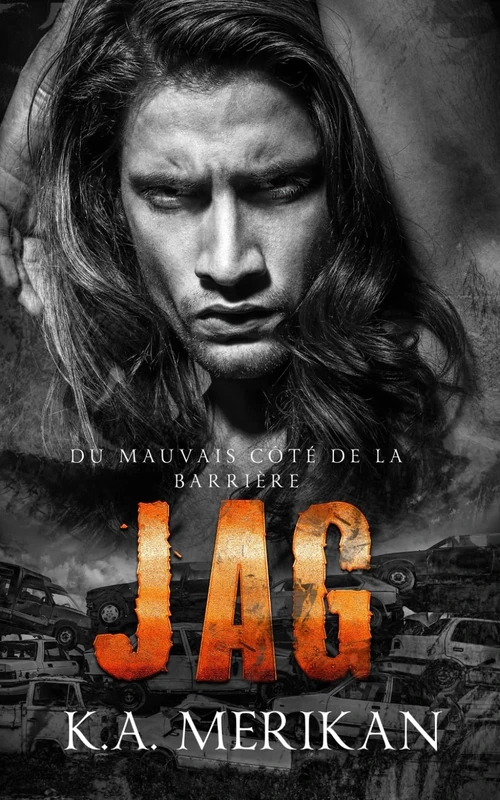 JAG: gay romance (Du mauvais côté de la barrière)
