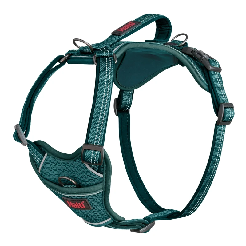 Halti Anatomy Dog Harness with Handle - Provides Your Dog Freedom of Movement for Comfortable Walking. 3 Lead Attachment Points, Neoprene Padded, Adjustable, and Reflective (Size Small, Teal)