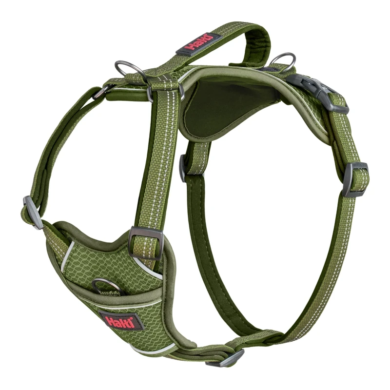 HALTI Anatomy Dog Harness with Handle - Provides Your Dog Freedom of Movement for Comfortable Walking. 3 Lead Attachment Points, Neoprene Padded, Adjustable, and Reflective (Size Small, Green)