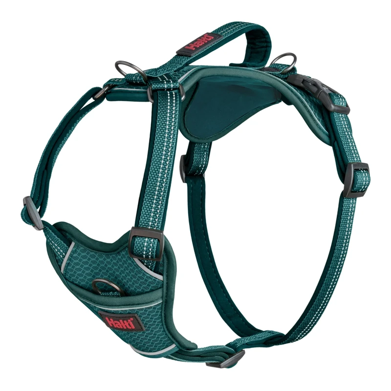 HALTI Anatomy Dog Harness with Handle - Provides Your Dog Freedom of Movement for Comfortable Walking. 3 Lead Attachment Points, Neoprene Padded, Adjustable, and Reflective (Size Large, Teal)