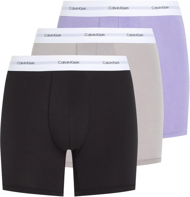 Calvin Klein Men’s 3 Pack Boxer Briefs with Logo Waistband, Multicolor (Black, Ash, Lilac Quartz), S