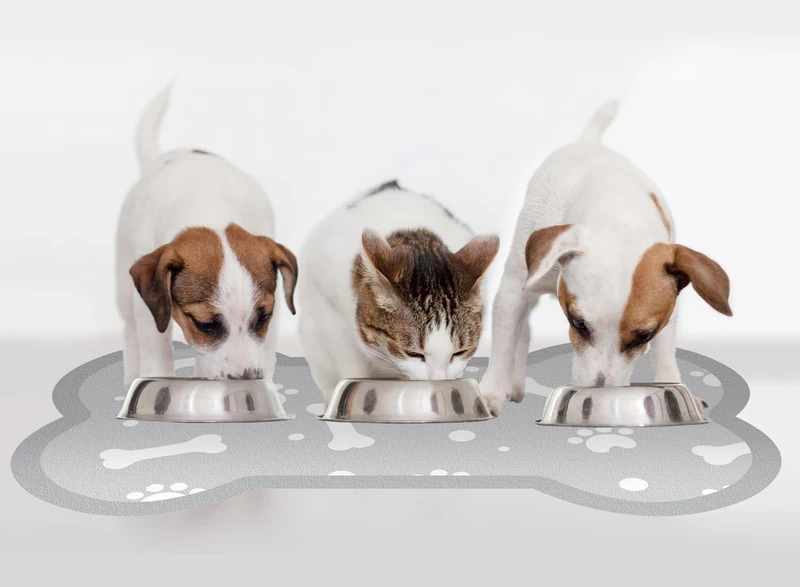 VINILIKO, Bone 3 Waterproof Pet Feeder Mat 90 x 150 cm
