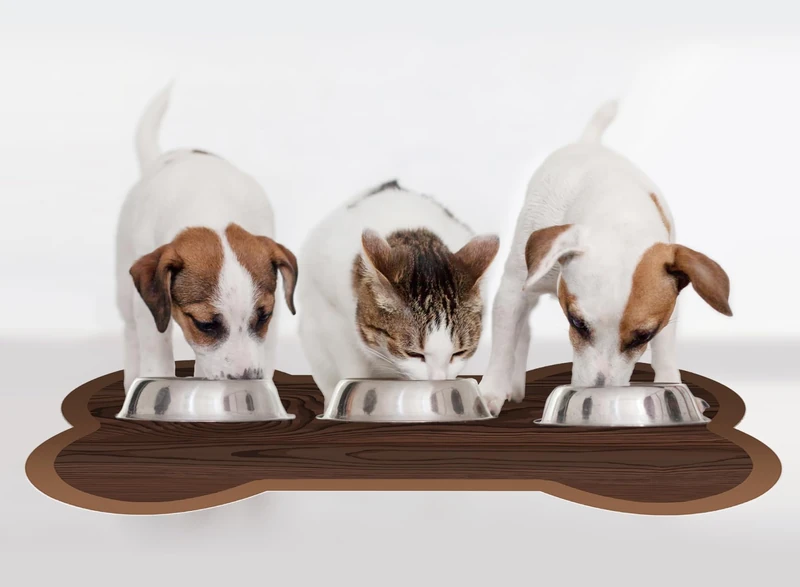 VINILIKO, Waterproof Pet Feeder Mat, Bone 1 90 x 150 cm