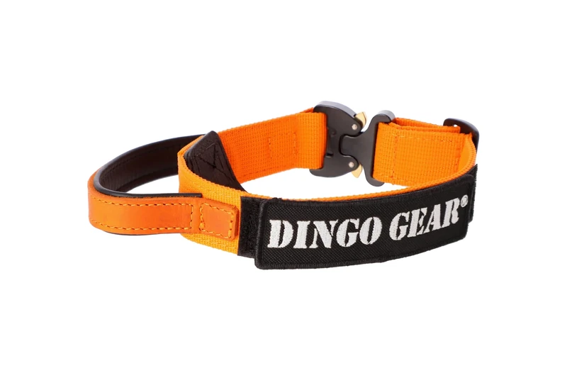 DINGO GEAR Cobra Dog Collar with Professional Safety Buckle, Strong Handle and Label Attached with Velcro-like Fastener, for Defence Training, Special Tasks, Neck Girth 49-59 cm, Orange (S03930)