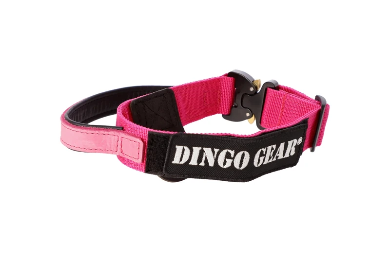 DINGO GEAR Cobra Dog Collar with Professional Safety Buckle, Strong Handle and Label Attached with Velcro-like Fastener, for Defence Training, Special Tasks, Neck Girth 43-47 cm, Pink (S03928)