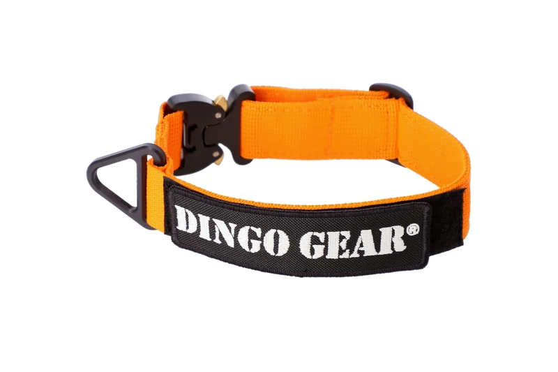 DINGO GEAR Cobra Dog Collar with Professional Safety Buckle, and Label Attached with Velcro-like Fastener, Reliable Collar for Defence Training, Special Tasks, Neck Girth 38-48 cm, Orange (S03934)