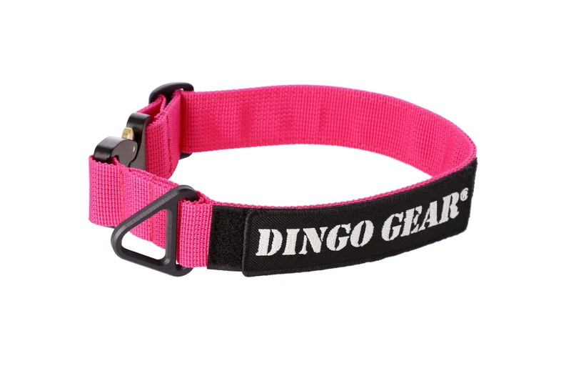DINGO GEAR Cobra Dog Collar with Professional Safety Buckle, and Label Attached with Velcro-like Fastener, Reliable Collar for Defence Training, Special Tasks, Neck Girth 45-63 cm, Pink (S03940)