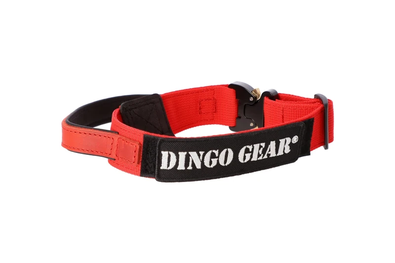 DINGO GEAR Cobra Dog Collar with Professional Safety Buckle, Strong Handle and Label Attached with Velcro-like Fastener, for Defence Training, Special Tasks, Neck Girth 49-59 cm, Red (S03929)
