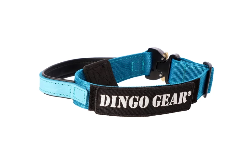 DINGO GEAR Cobra Dog Collar with Professional Safety Buckle, Strong Handle and Label Attached with Velcro-like Fastener, for Defence Training, Special Tasks, Neck Girth 49-59 cm, Sea Blue (S03931)