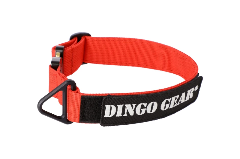 DINGO GEAR Cobra Dog Collar with Professional Safety Buckle, and Label Attached with Velcro-like Fastener, Reliable Collar for Defence Training, Special Tasks, Neck Girth 45-63 cm, Red (S03937)