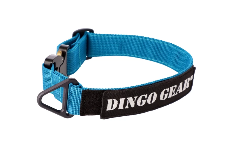 DINGO GEAR Cobra Dog Collar with Professional Safety Buckle, and Label Attached with Velcro-like Fastener, Reliable Collar for Defence Training, Special Tasks, Neck Girth 38-48 cm, Sea Blue (S03935)