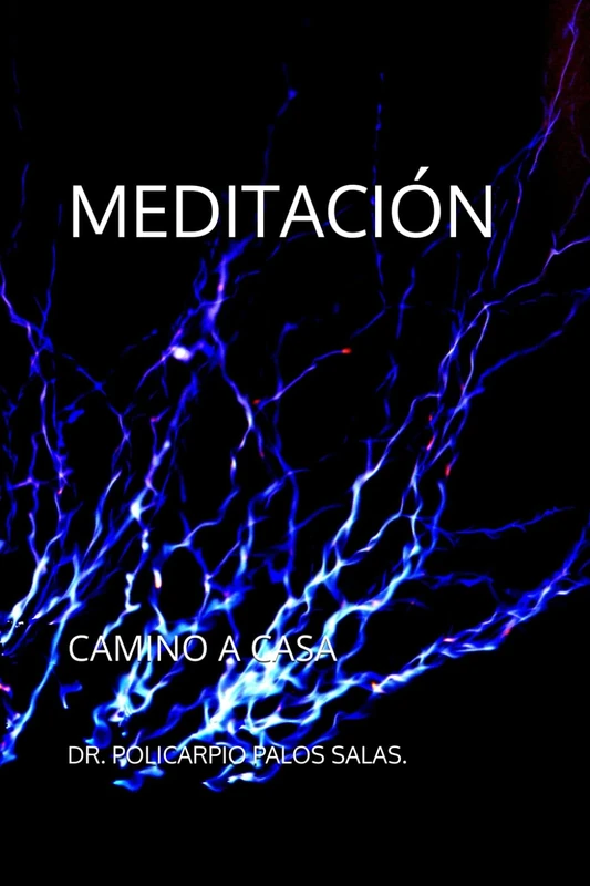 MEDITACIÓN ( CAMINO A CASA).: CAMINO A CASA.